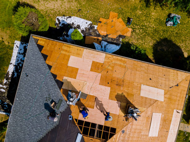 Best Roof Waterproofing Services  in Nicollet, MN