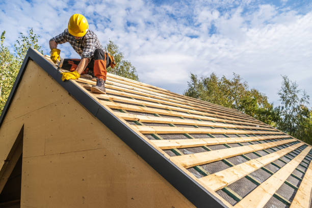 Best Flat Roof Repair Services  in Nicollet, MN