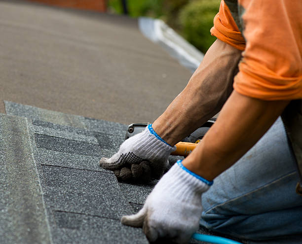 Quick and Trustworthy Emergency Roof Repair Services in Nicollet, MN